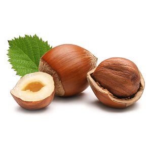 En elegant Hasselnöt (Komplett) med ett längre produktnamn, Liten nöt med hårt skal med naturligt utseende och känsla. Detaljerad utformning med realistiskt bladverk. 