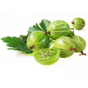 En elegant Krusbär, Små och syrliga med naturligt utseende och känsla. Detaljerad utformning med realistiskt bladverk. 