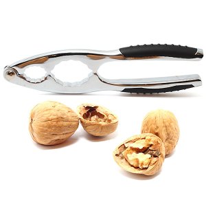 En elegant Hasselnöt (Komplett) med ett längre produktnamn, Liten nöt med hårt skal med naturligt utseende och känsla. Detaljerad utformning med realistiskt bladverk. 