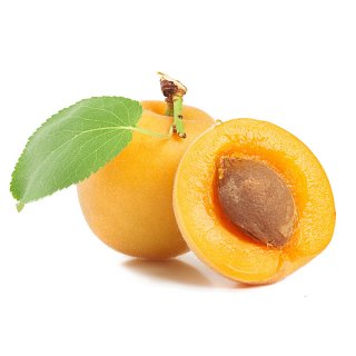 En elegant Plommon gula, Härligt mogna gula plommon med naturligt utseende och känsla. Detaljerad utformning med realistiskt bladverk. 