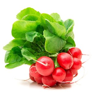 En elegant Rädisa, Närodlad rädisa med naturligt utseende och känsla. Detaljerad utformning med realistiskt bladverk. 