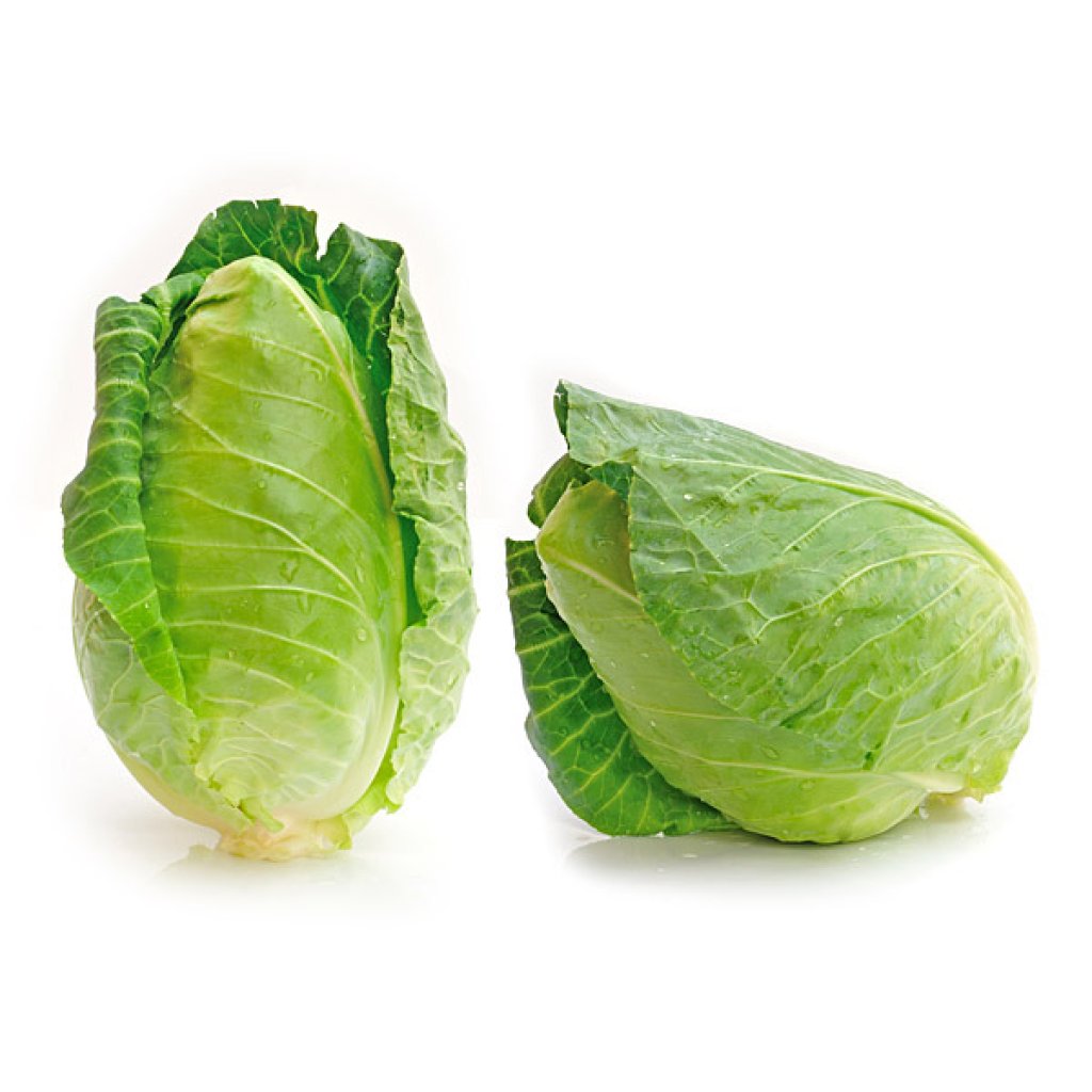 En elegant Spetskål, Närodlad spetskål med naturligt utseende och känsla. Detaljerad utformning med realistiskt bladverk. 